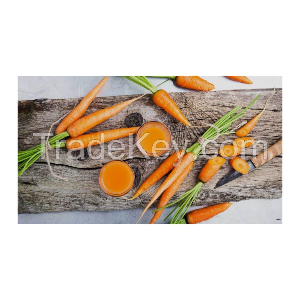 Premium fresh carrots available in bulk supply