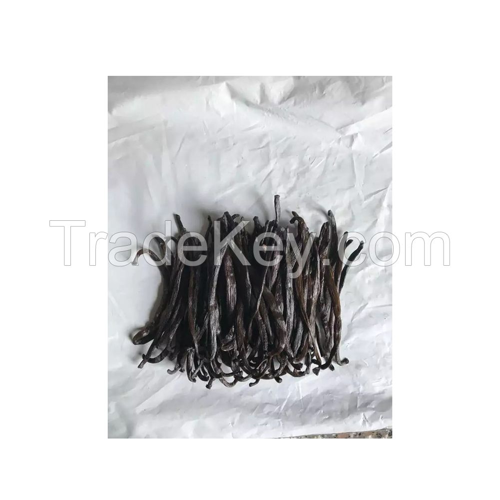 Premium Madagascar vanilla beans for sale in wholesale price