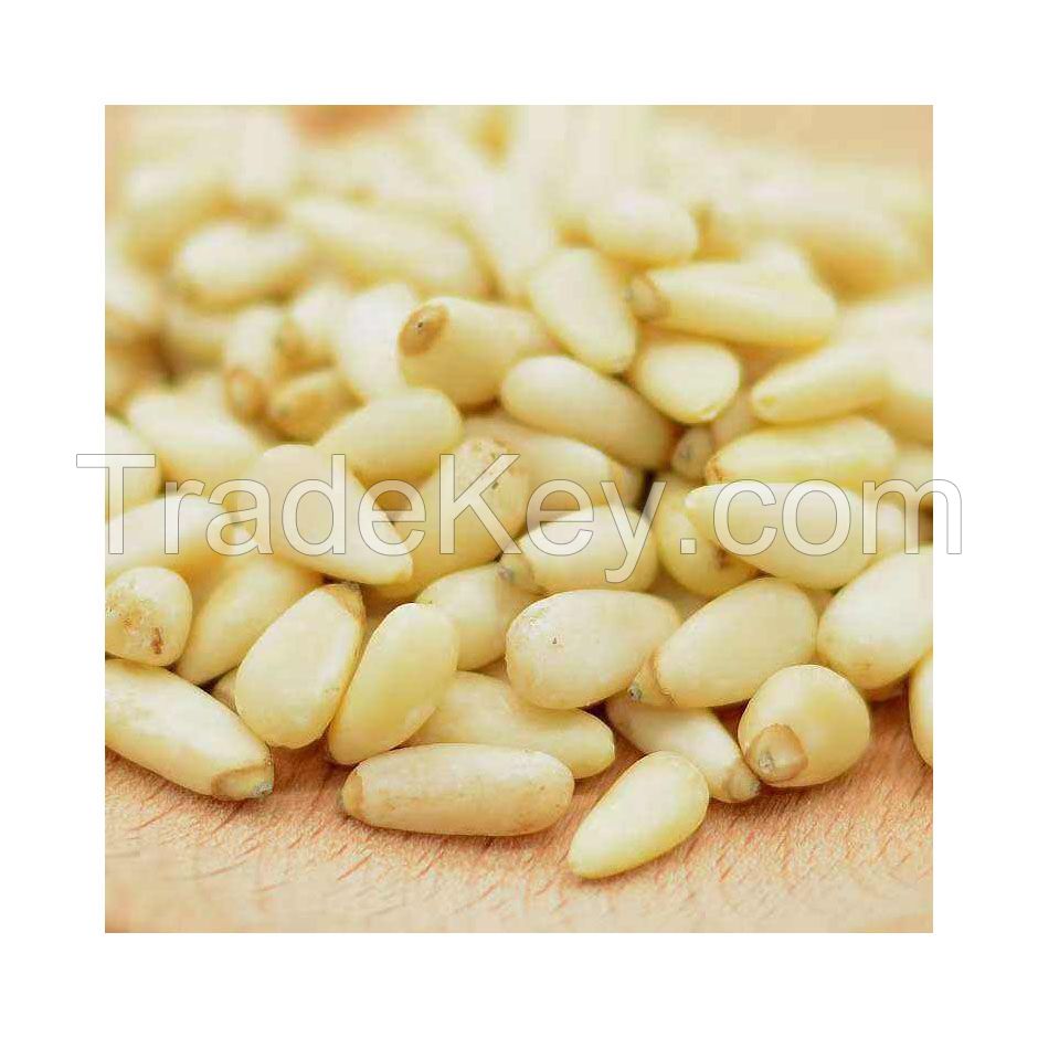 Export-grade Organic Pine Nuts with natural freshness