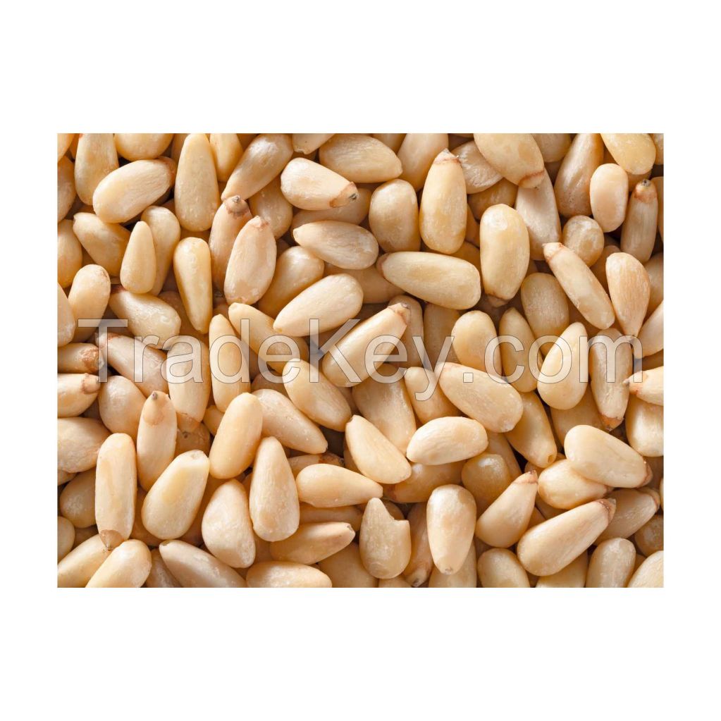 Freshly harvested Organic Pine Nuts with rich flavor