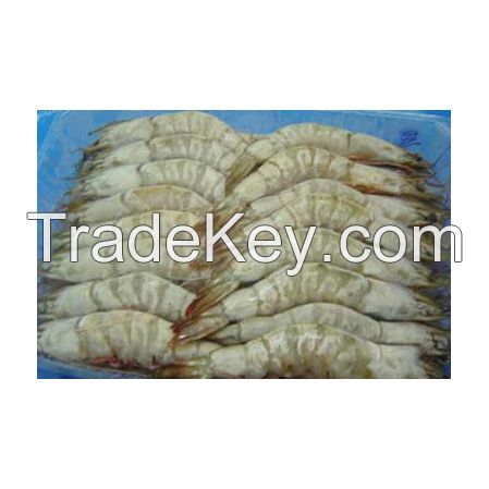 Bulk supply of Frozen White Shrimp with fast delivery