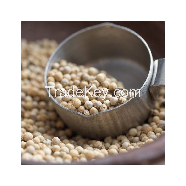 Ground white pepper for smooth spice blends at low prices