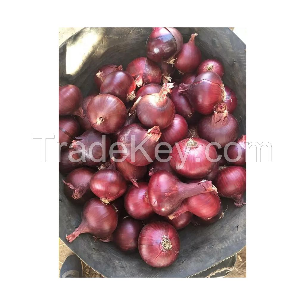 Buy yellow onions in bulk at the best market rates