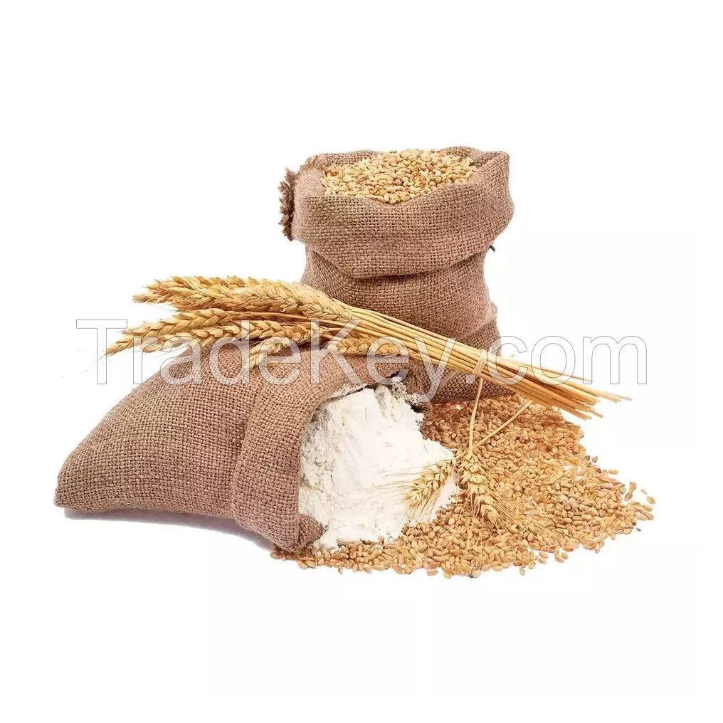 Best Quality All Purpose Wheat Flour 50 kg Bag Packaging