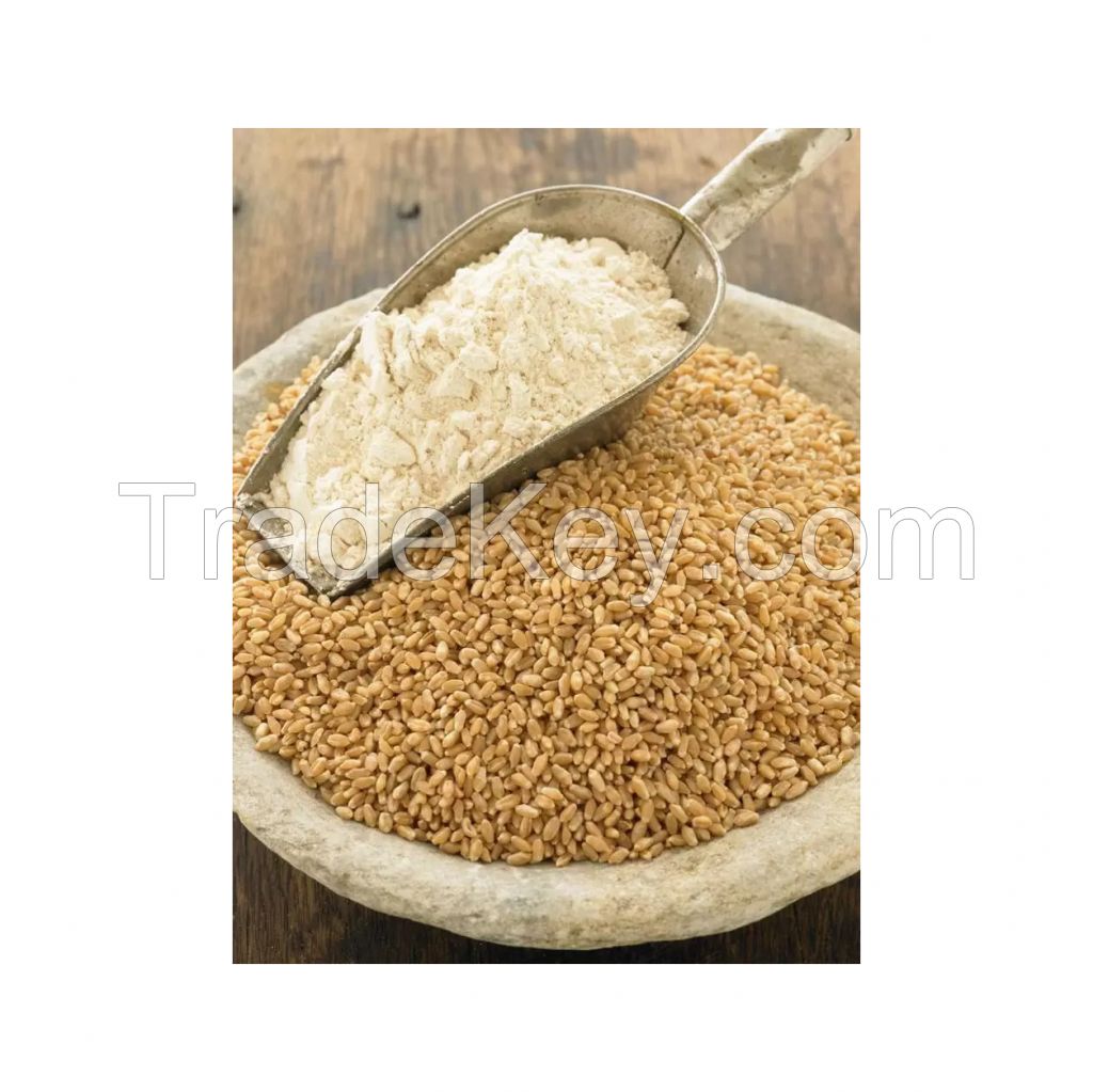 Wheat Flour Bag 50kg Factory for sale in good price