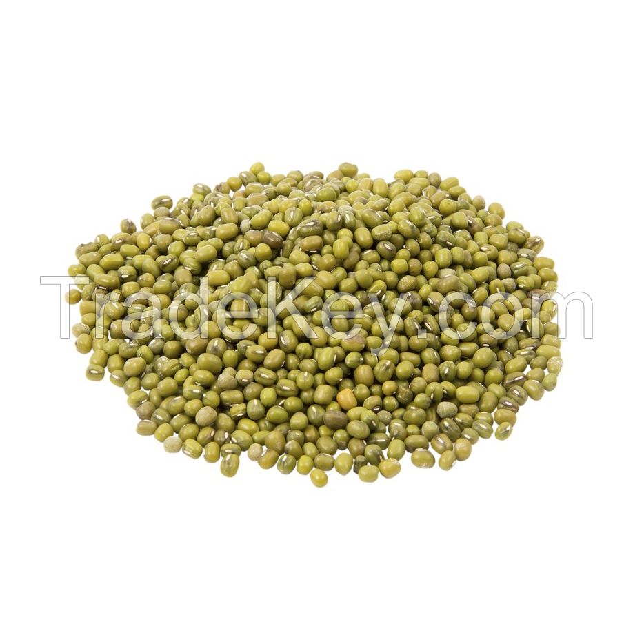 Bulk Green Lentils for food processing industries