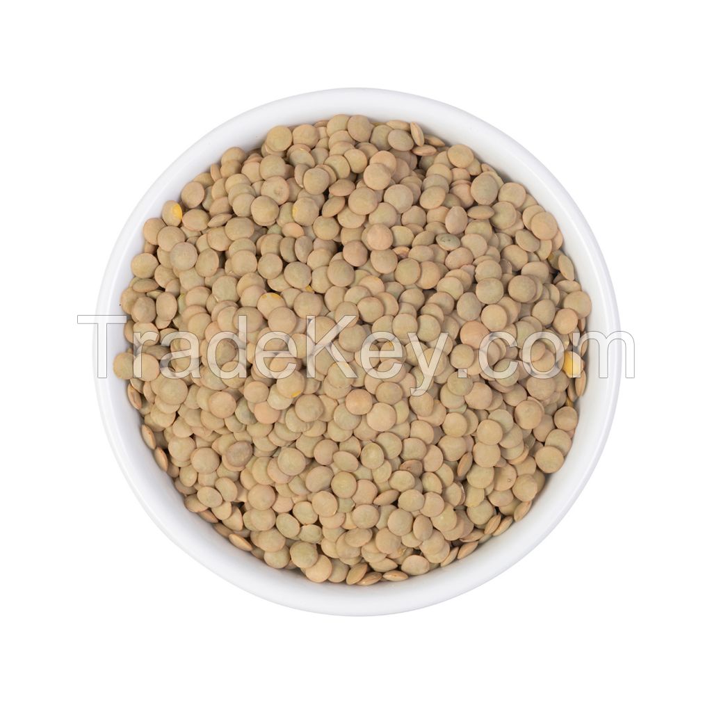 Bulk Green Lentils for food processing industries