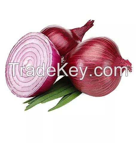 Buy yellow onions in bulk at the best market rates