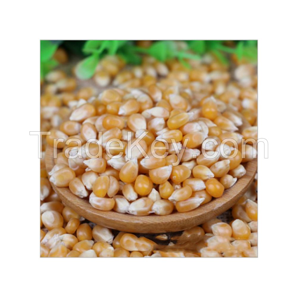 100% pure crude sunflower oil for industrial use