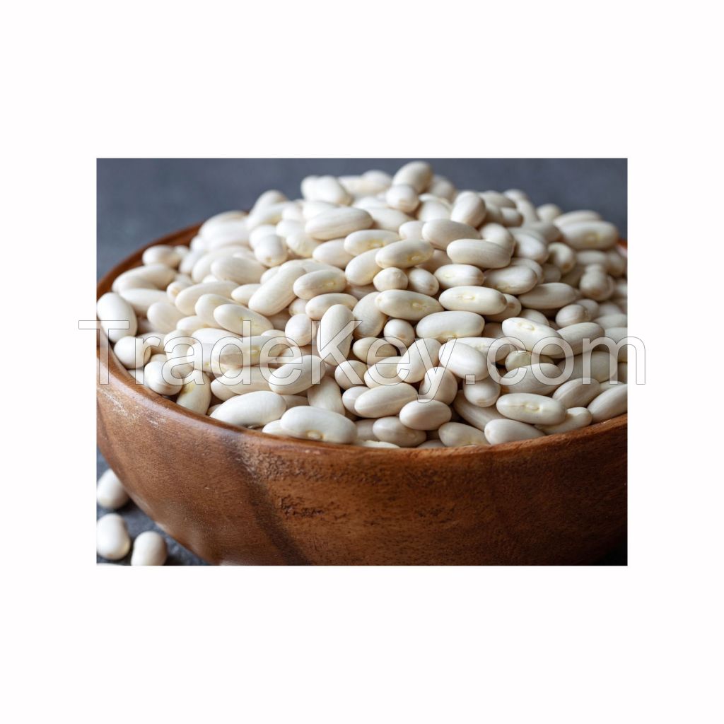 Bulk white kidney beans for food processing and export