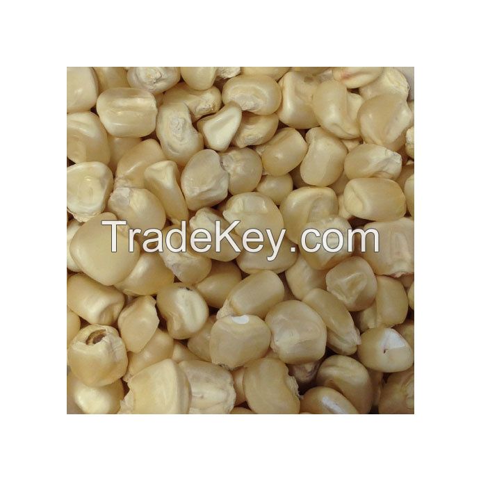 Bulk supply of white corn for international markets