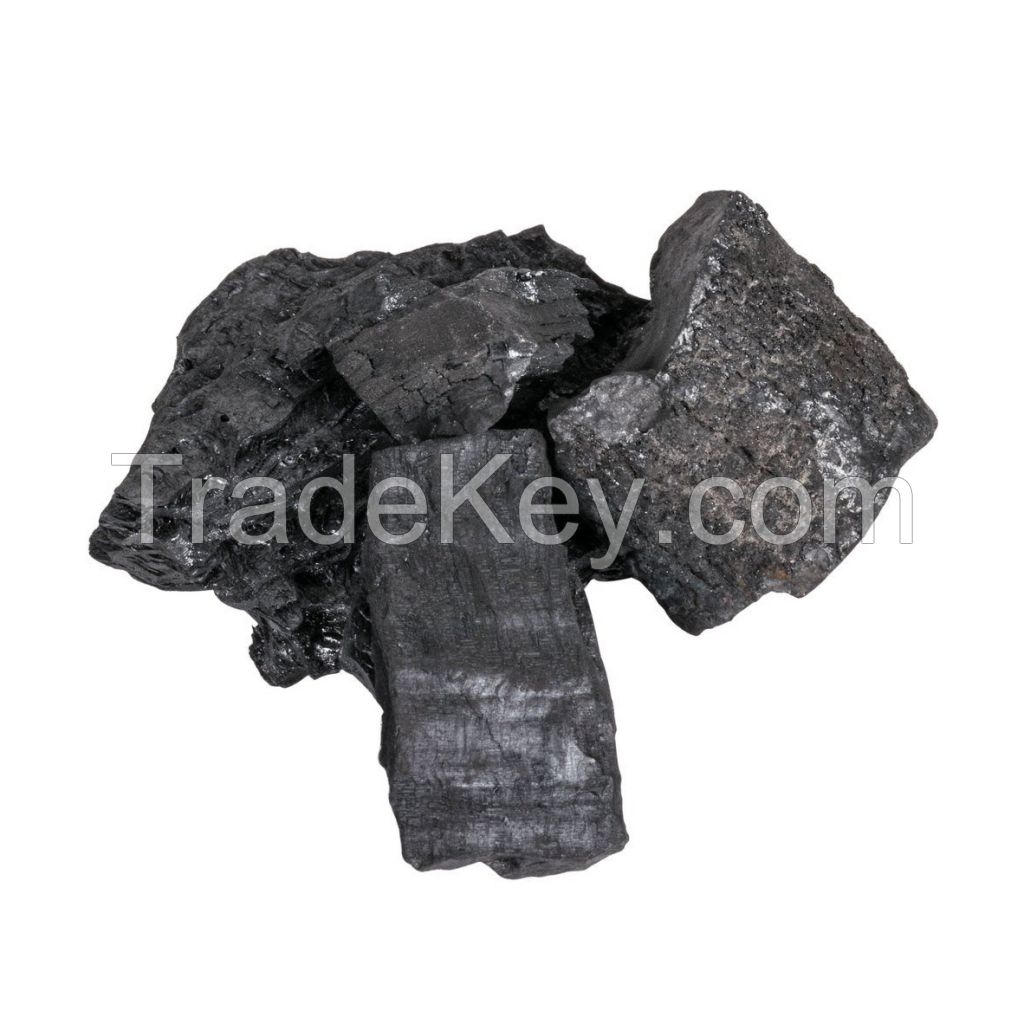 Premium hardwood charcoal for BBQ and grilling at wholesale price
