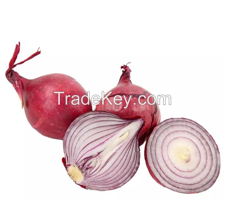 Buy yellow onions in bulk at the best market rates
