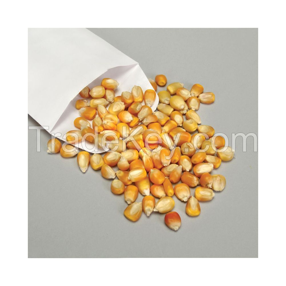 Bulk yellow corn for export and large-scale supply at low prices