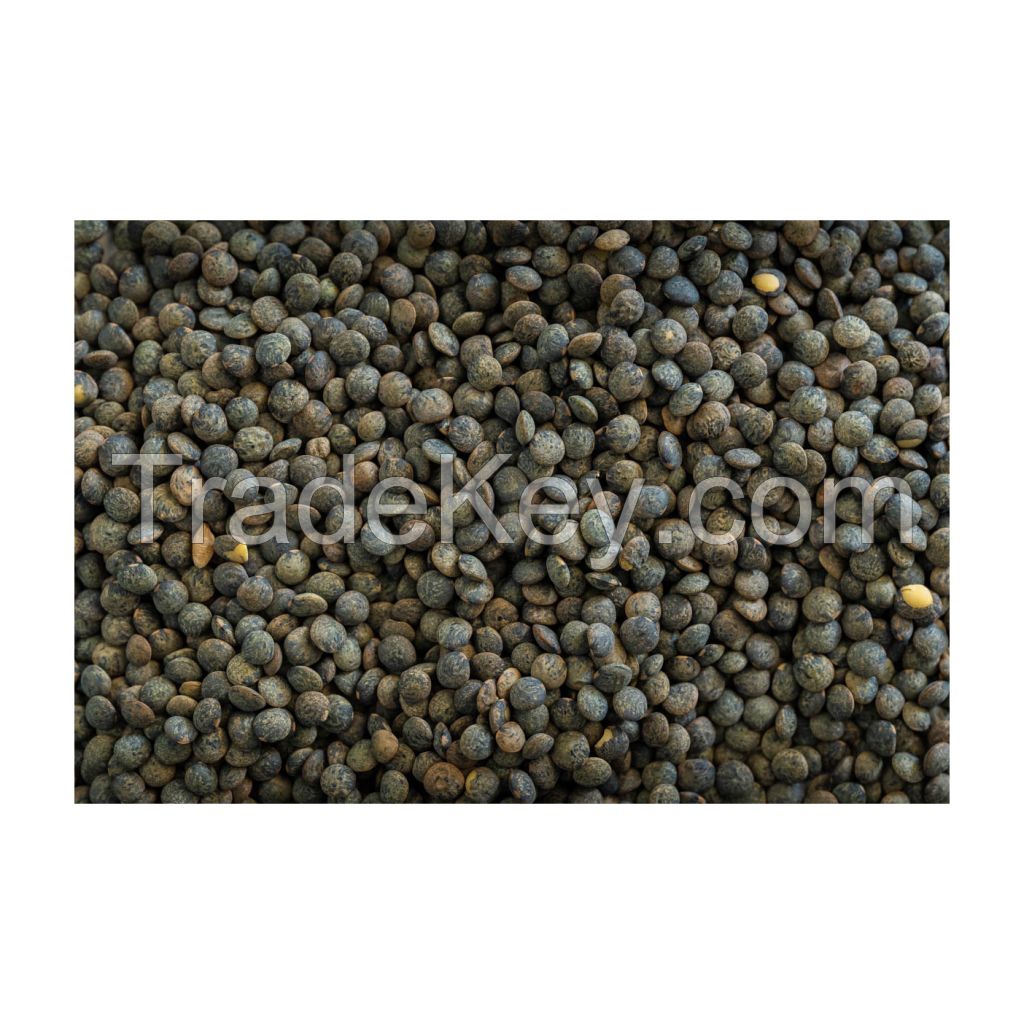 Bulk Green Lentils for food processing industries