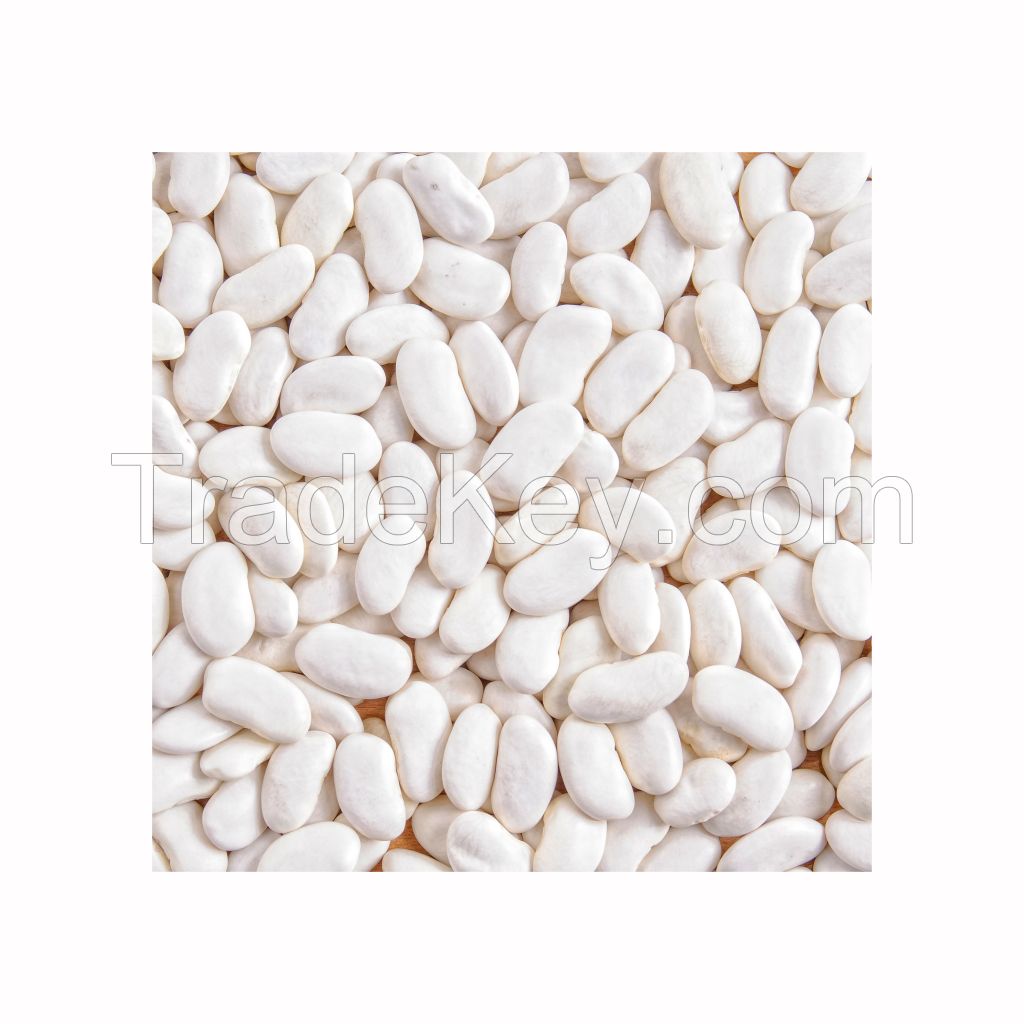 Bulk white kidney beans for food processing and export