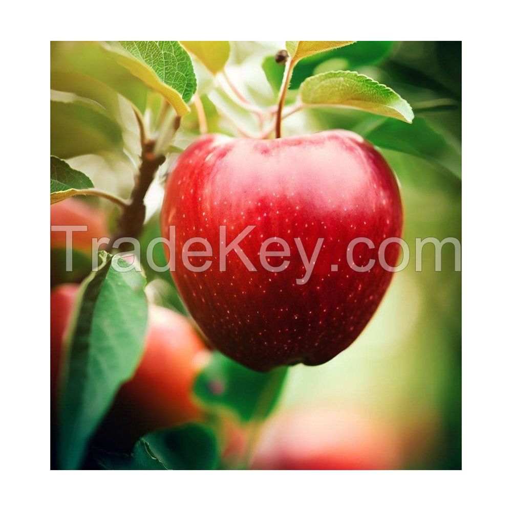 Crisp and juicy red apples for snacking and baking