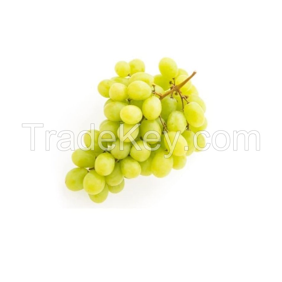 Fresh grapes for sale in bulk at a wholesale price