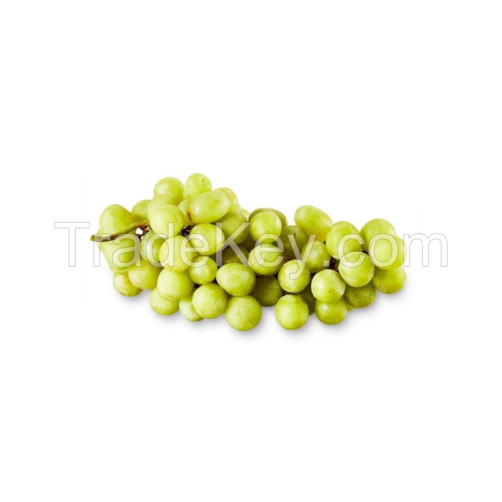 Fresh grapes for sale in bulk at a wholesale price