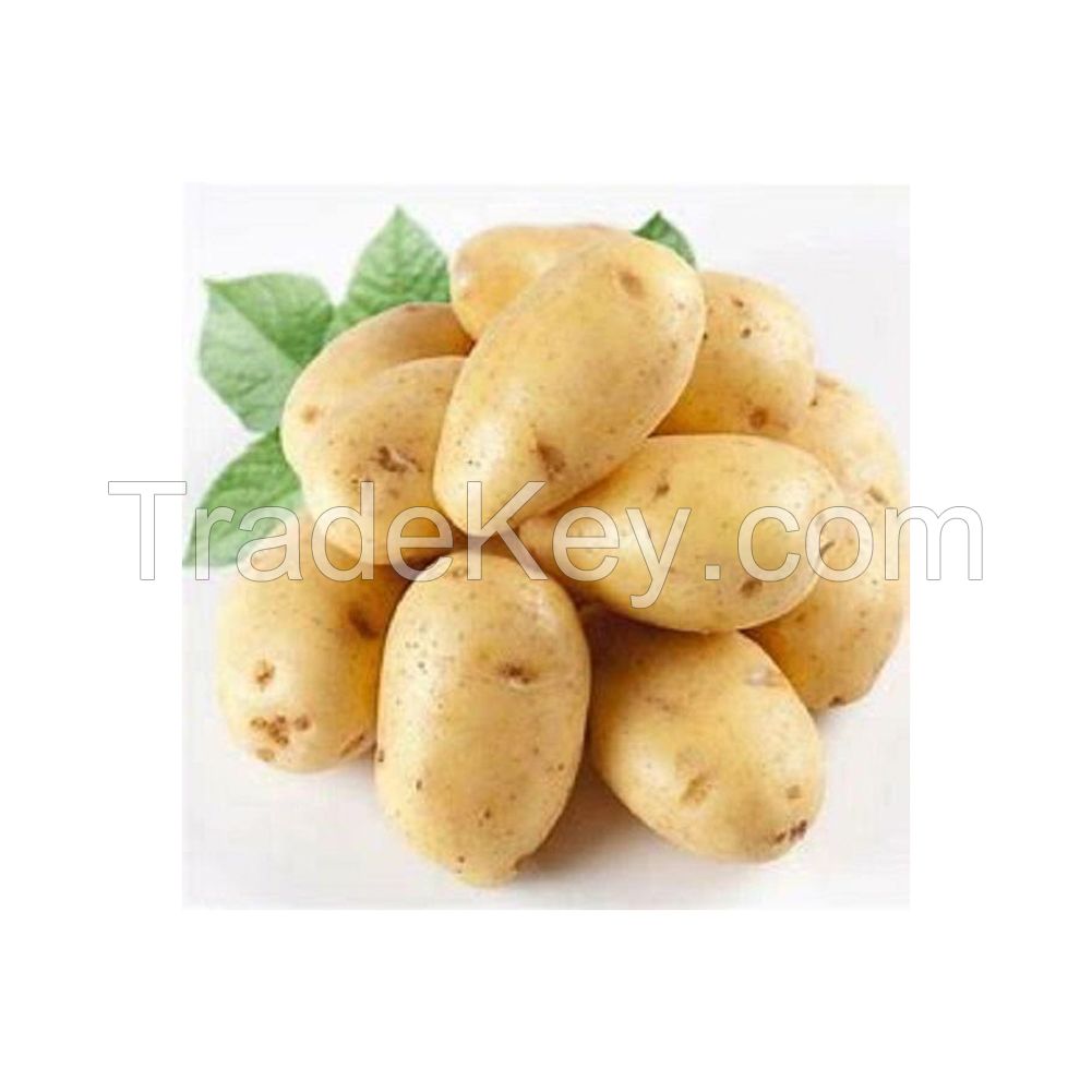Fresh potatoes for sale in bulk at a wholesale price