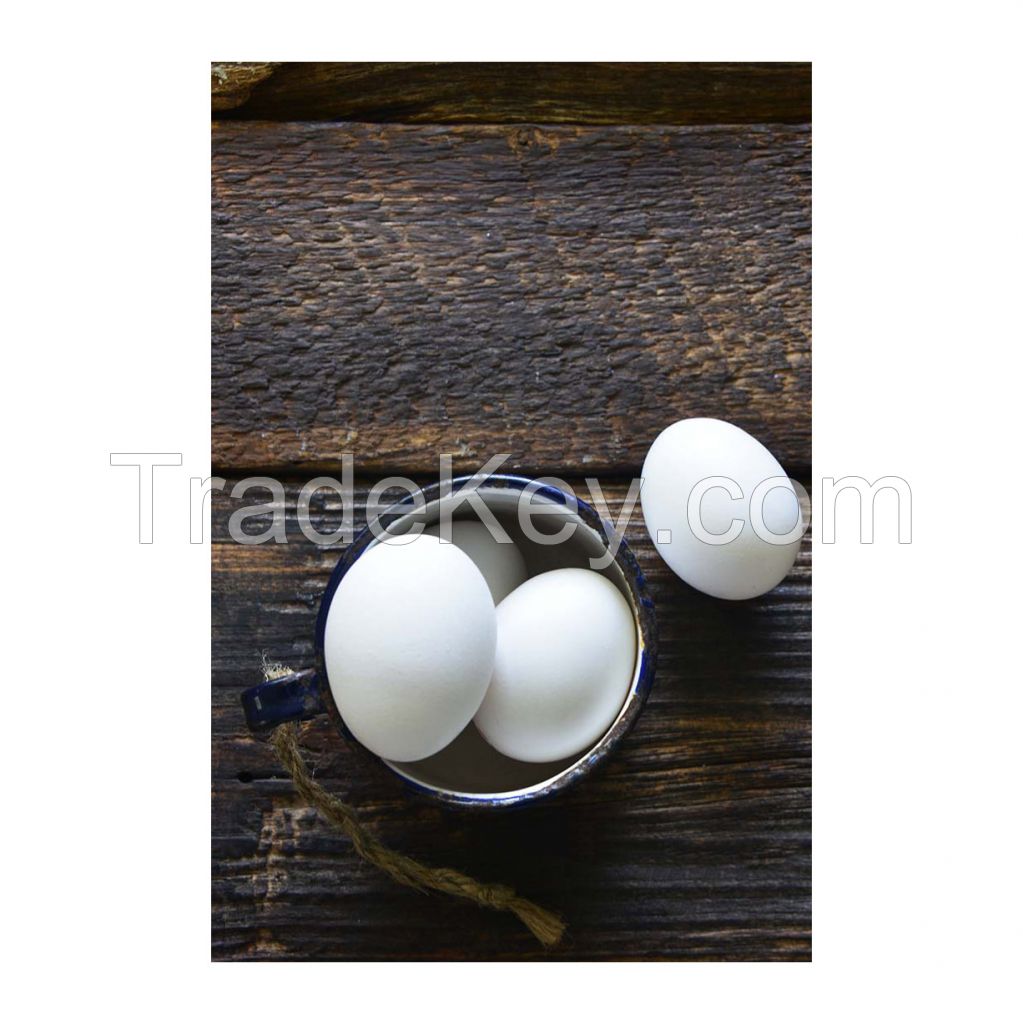 Bulk fresh table eggs for catering and large-scale consumption