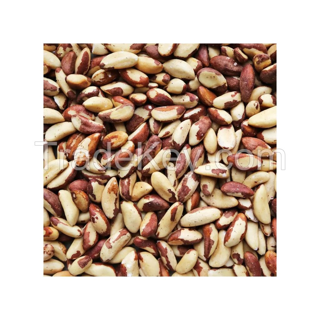 Premium Brazilian nuts for sale in bulk at a low price