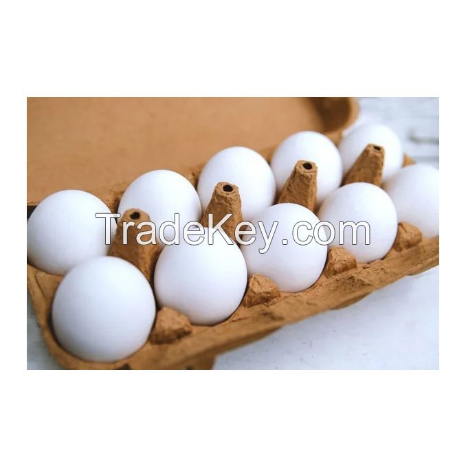 Fresh table eggs for sale in bulk at a wholesale price