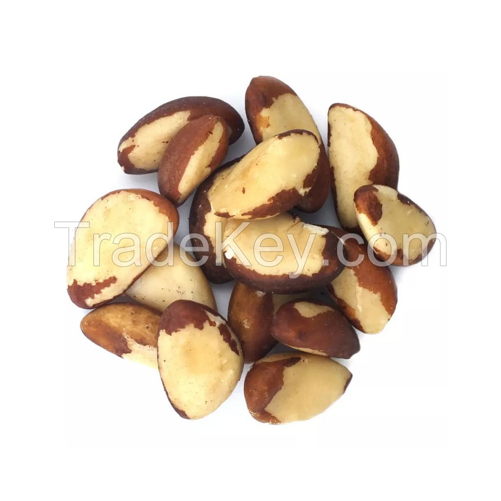 Premium Brazilian nuts for sale in bulk at a low price