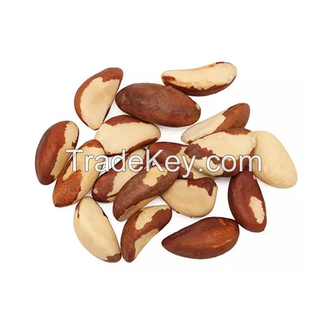 Organic Brazilian nuts for natural and nutritious consumption