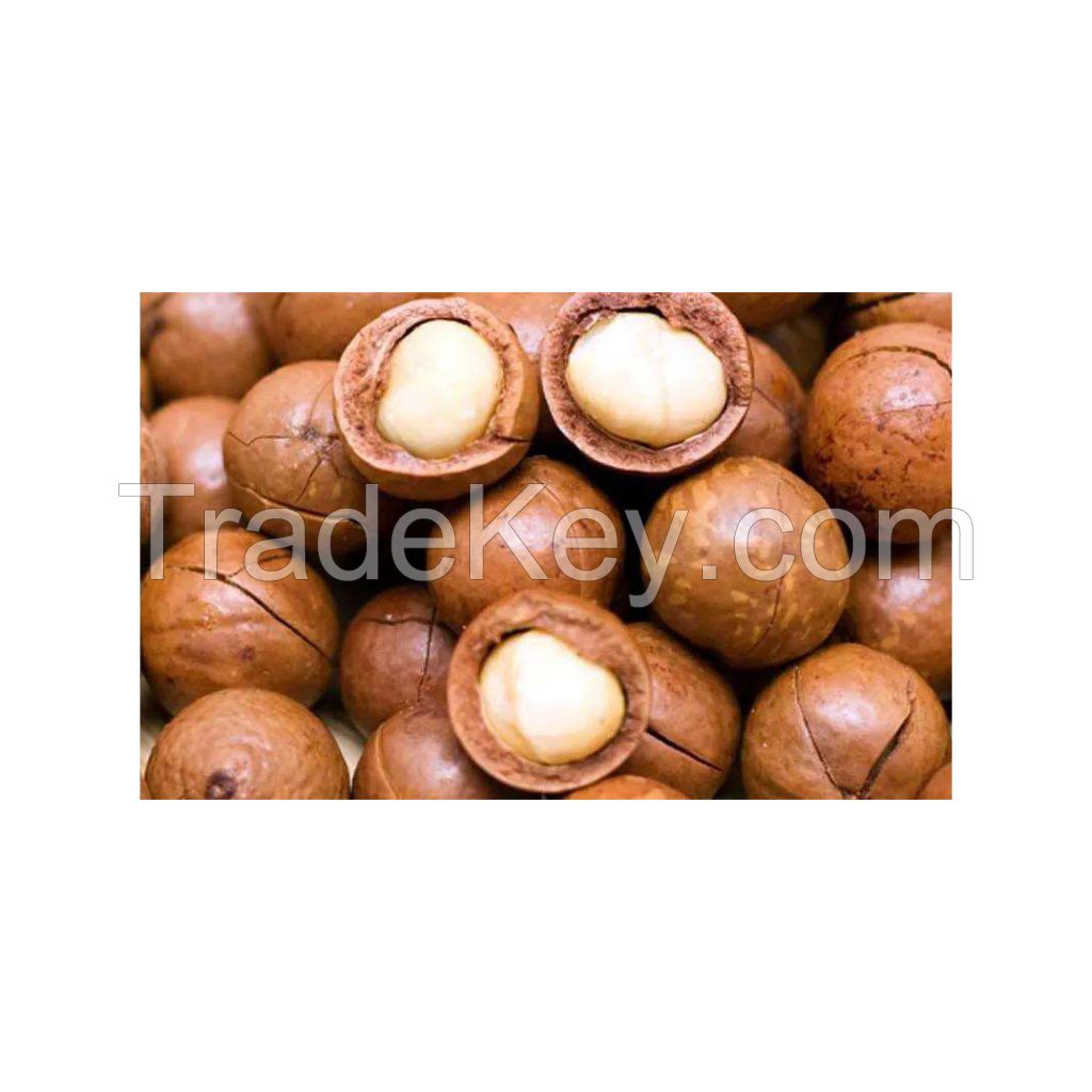 Organic nuts for natural and nutritious diets