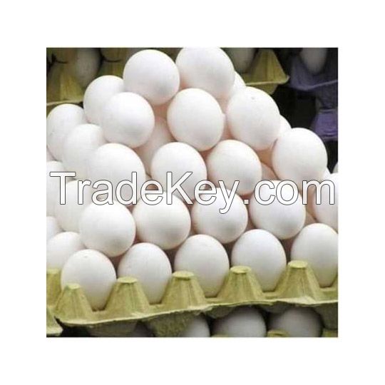 Bulk fresh table eggs for catering and large-scale consumption