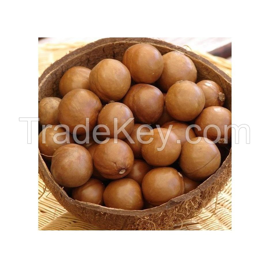 Organic nuts for natural and nutritious diets