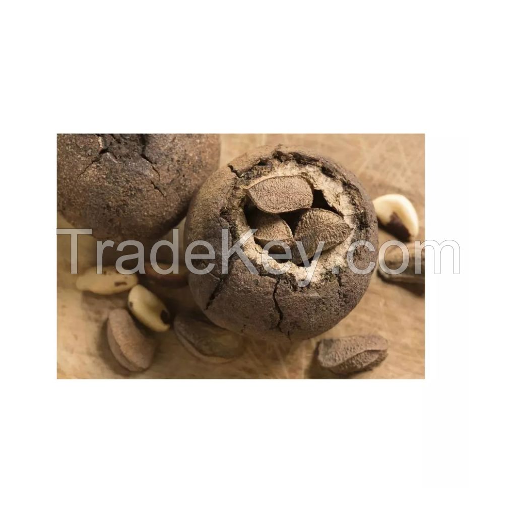 Fresh Brazilian nuts for cooking and snacking at competitive rates
