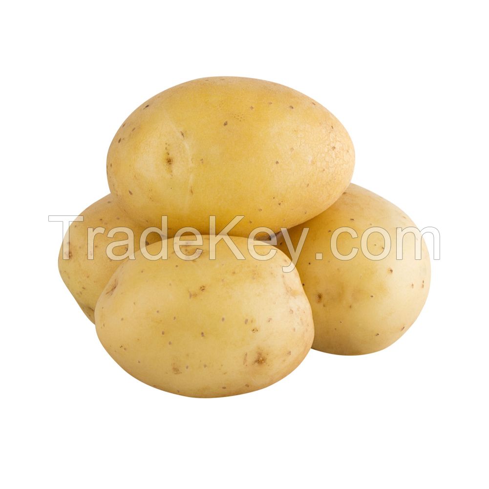 Fresh potatoes for sale in bulk at a wholesale price