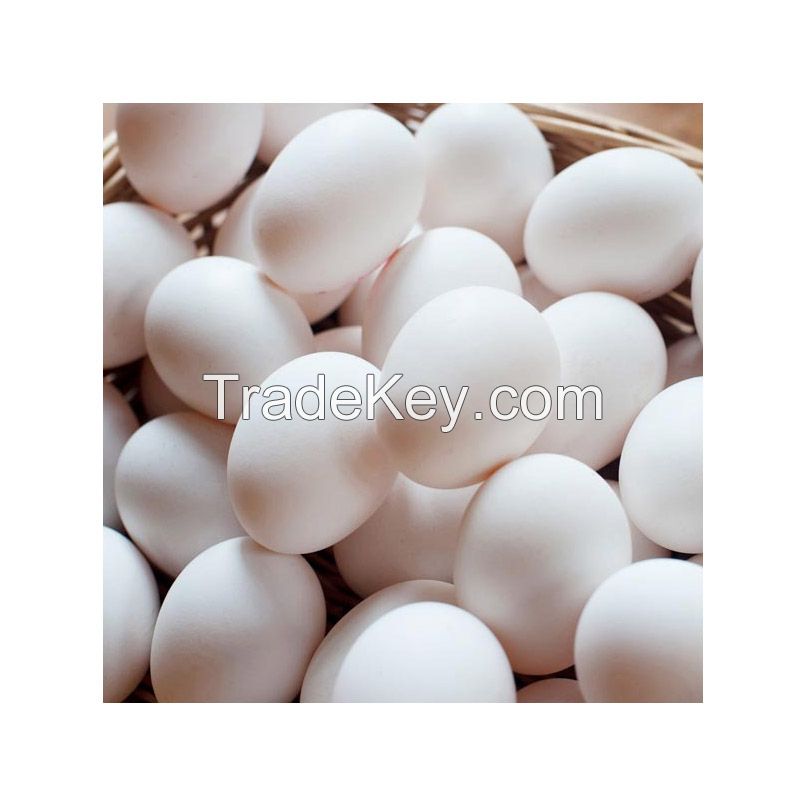 Bulk fresh table eggs for catering and large-scale consumption