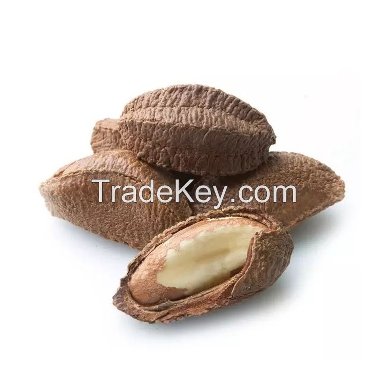 Premium Brazilian nuts for sale in bulk at a low price