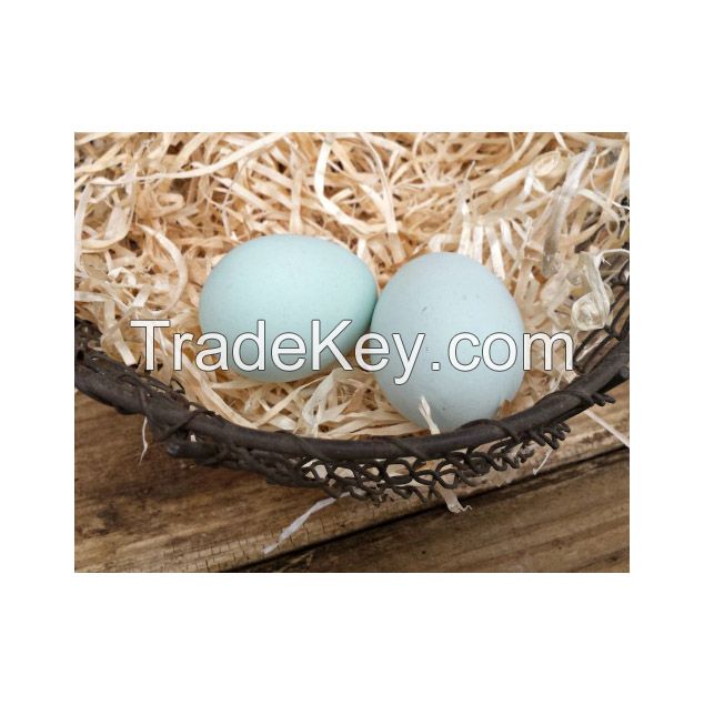 Fresh table eggs for sale in bulk at a wholesale price