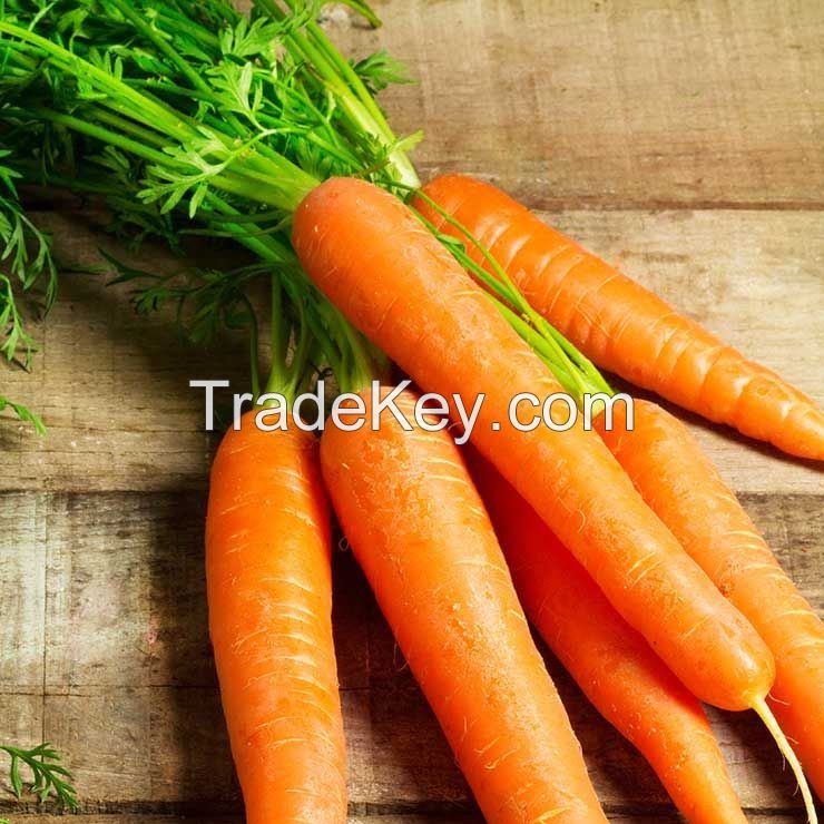 Washed and trimmed carrots ready for immediate use