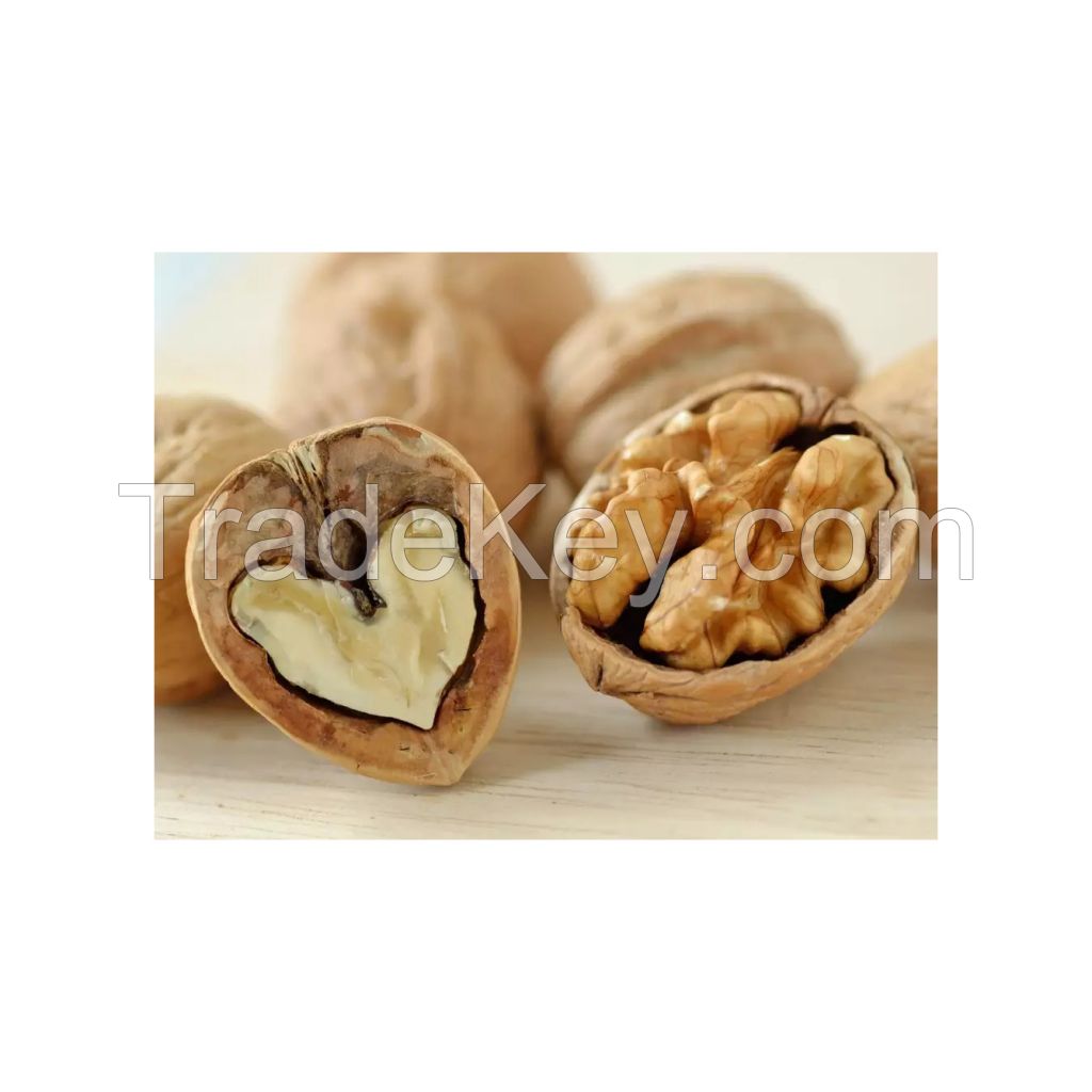 Walnuts for sale in bulk at a wholesale price Premium quality
