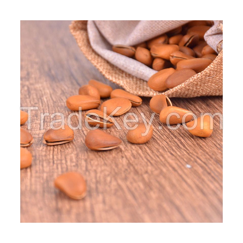 Pecan nuts for sale in bulk at a wholesale price