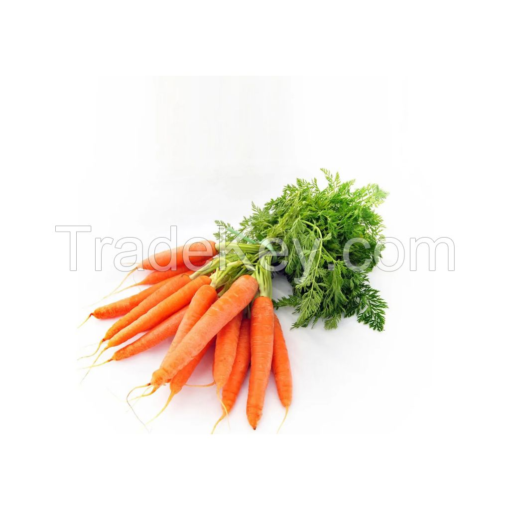 Washed and trimmed carrots ready for immediate use
