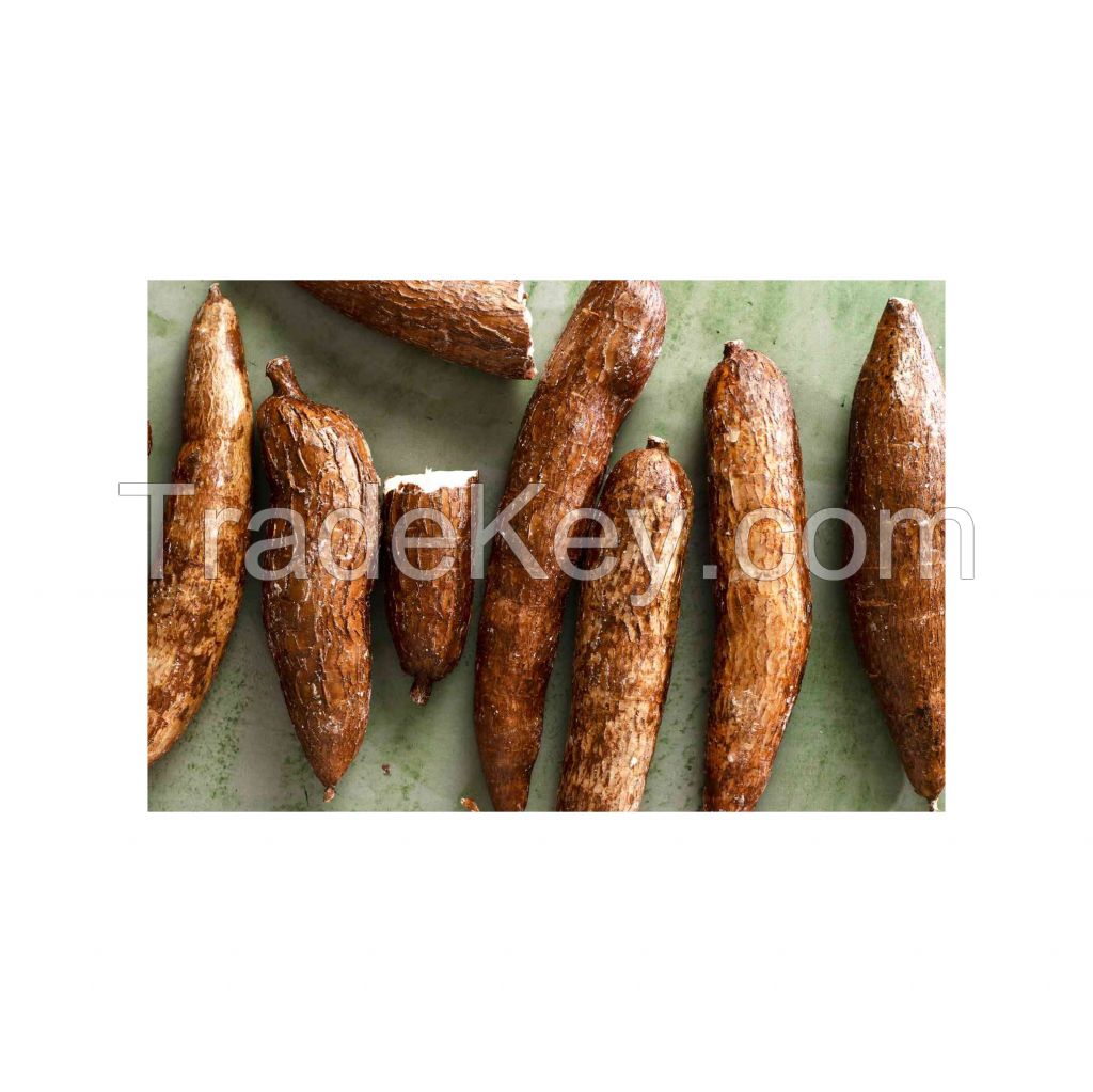Export-grade cassava packed for international markets
