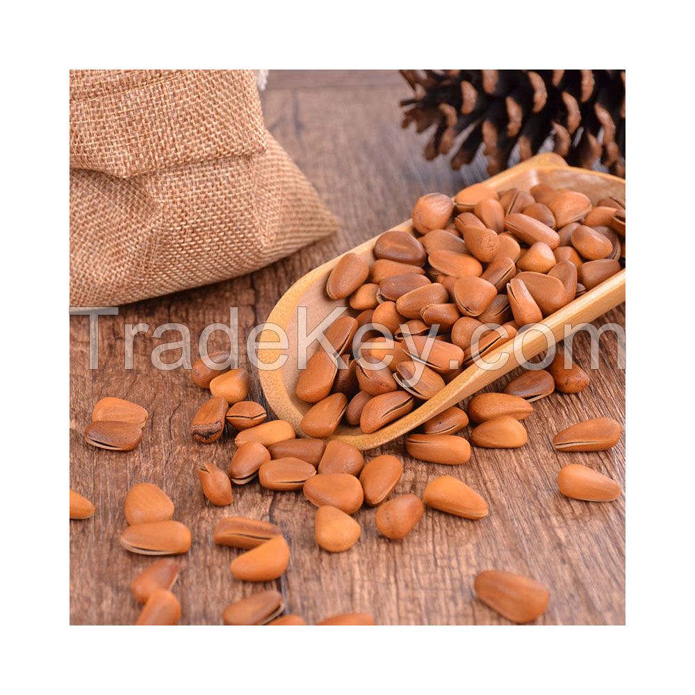 Pecan nuts for sale in bulk at a wholesale price