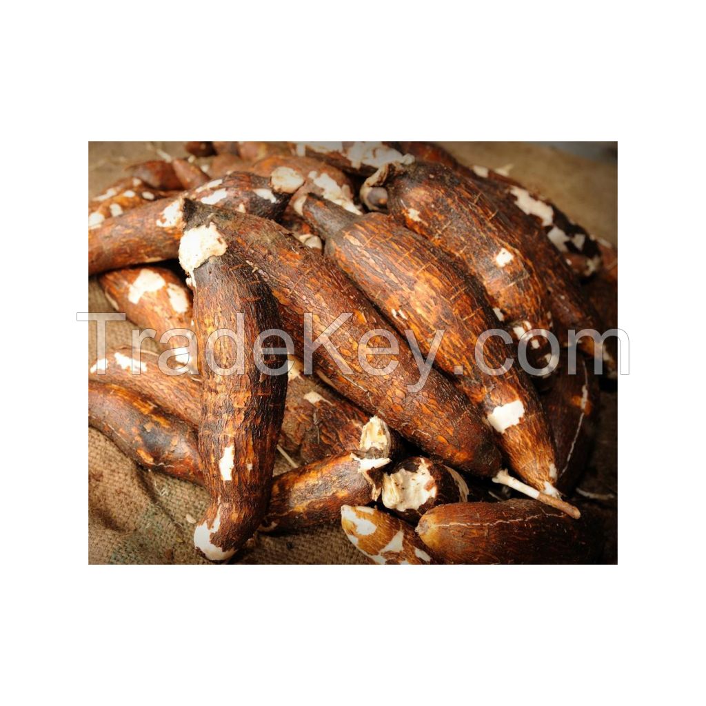Export-grade cassava packed for international markets