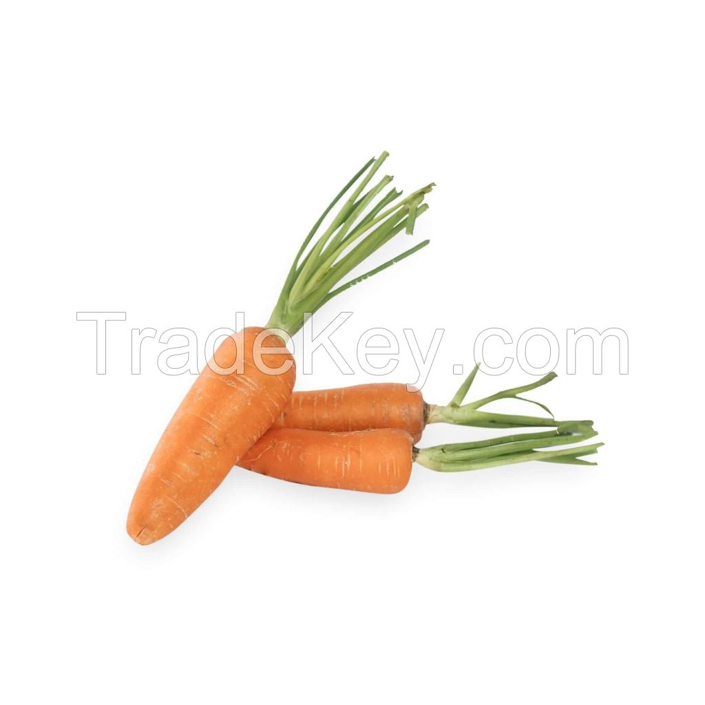 Washed and trimmed carrots ready for immediate use