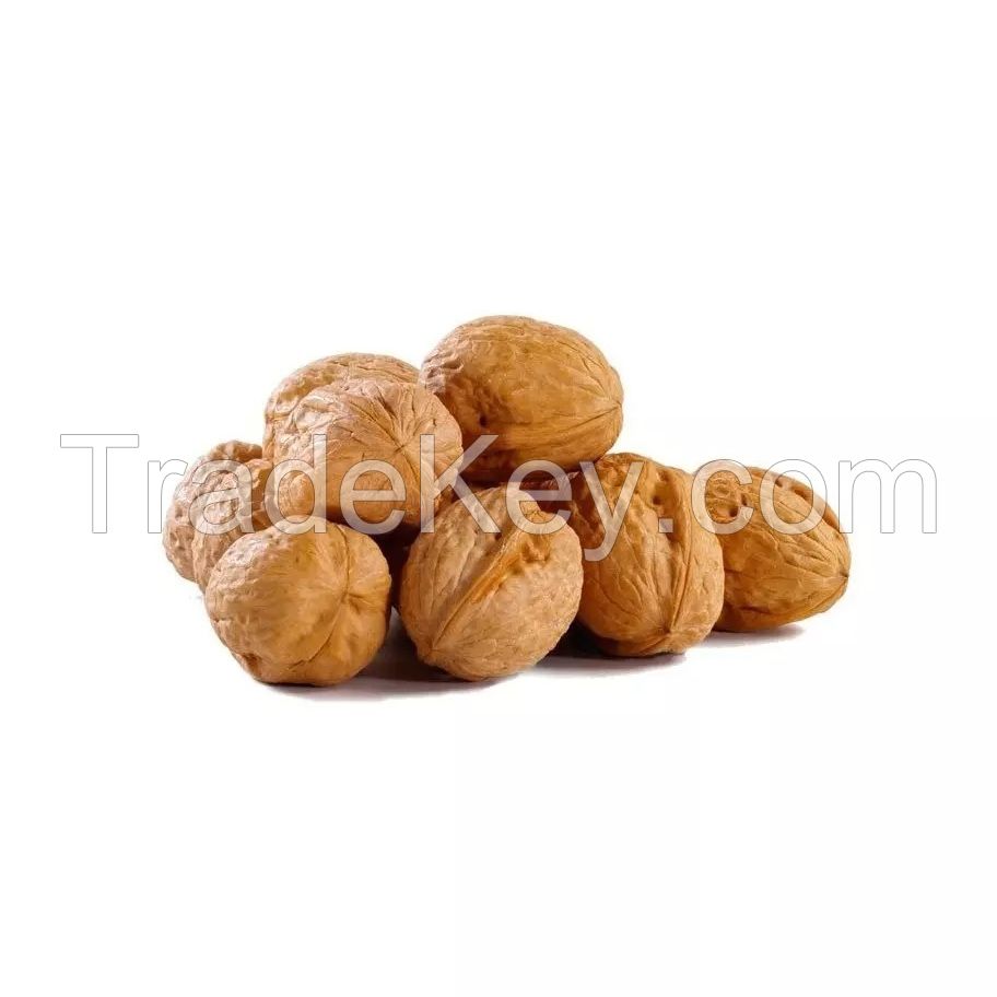 Crunchy and delicious walnuts for food processing industries