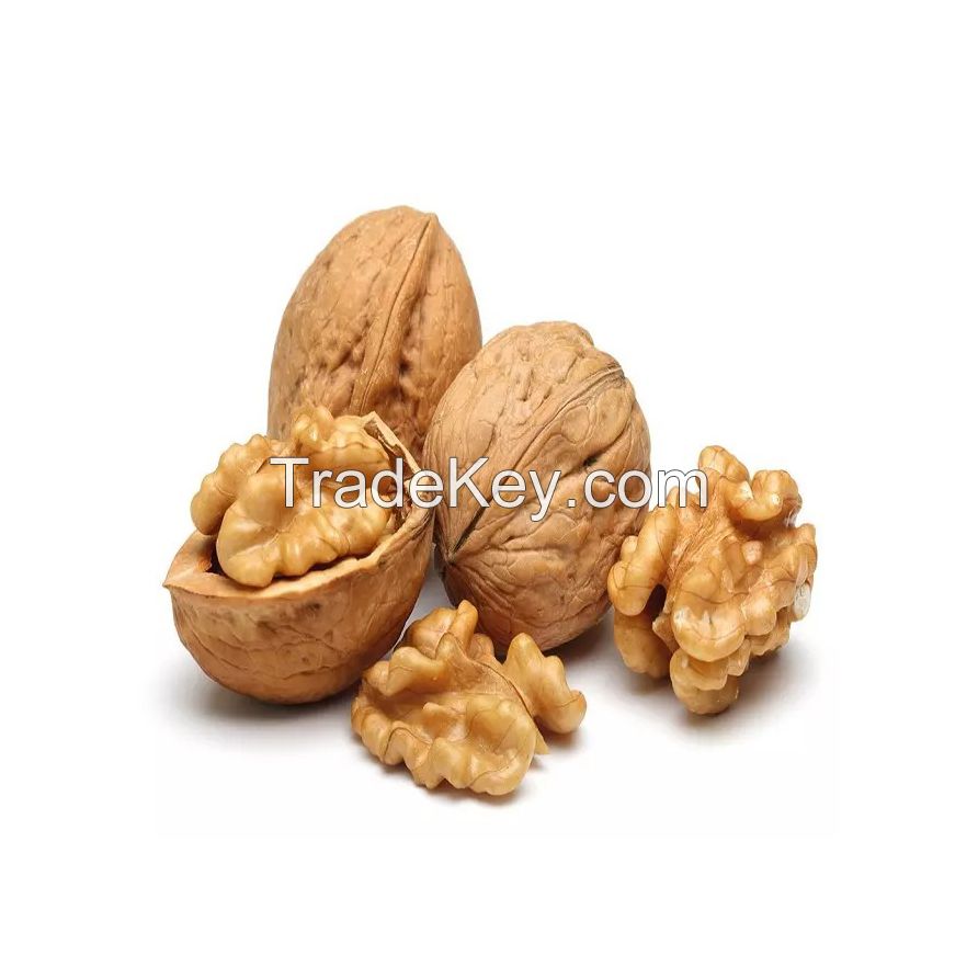Walnuts for sale in bulk at a wholesale price