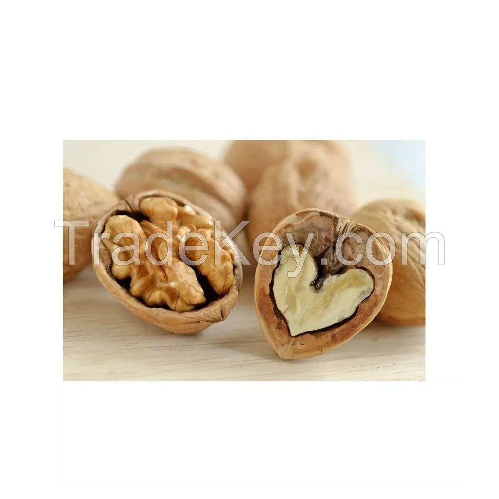 Crunchy and delicious walnuts for food processing industries
