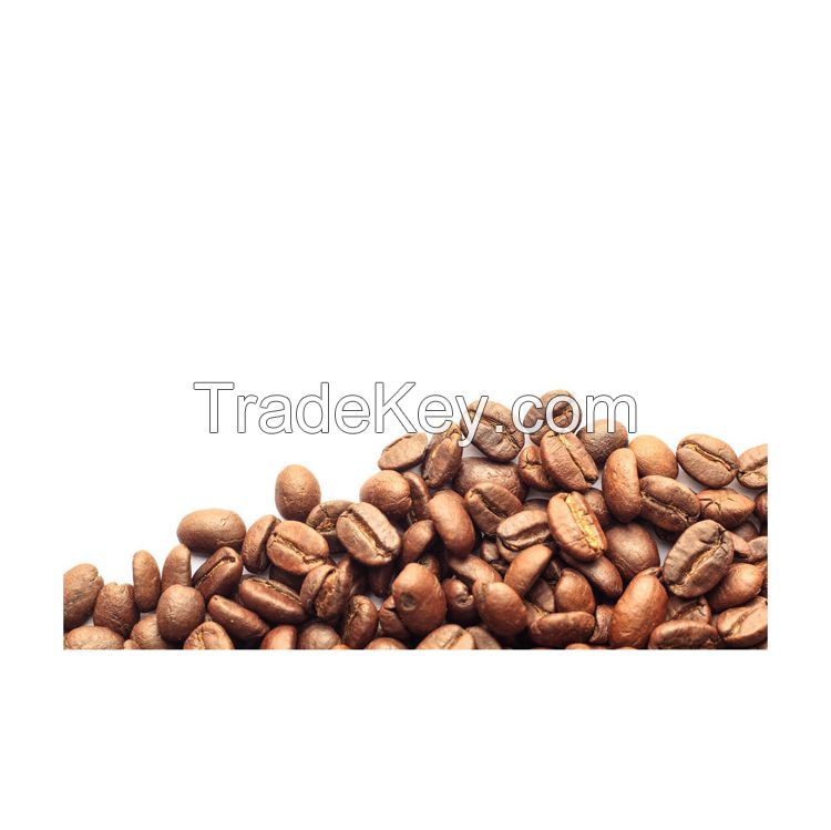 Freshly harvested Coffee Beans for export and distribution