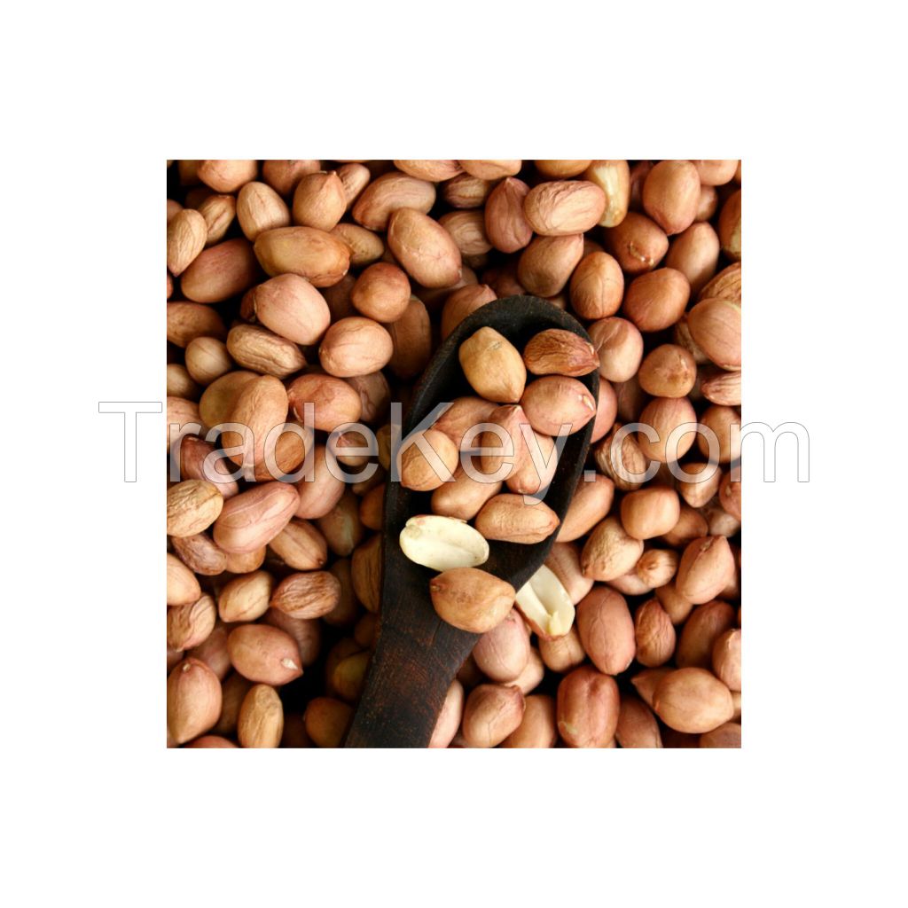 Groundnuts for sale in wholesale price